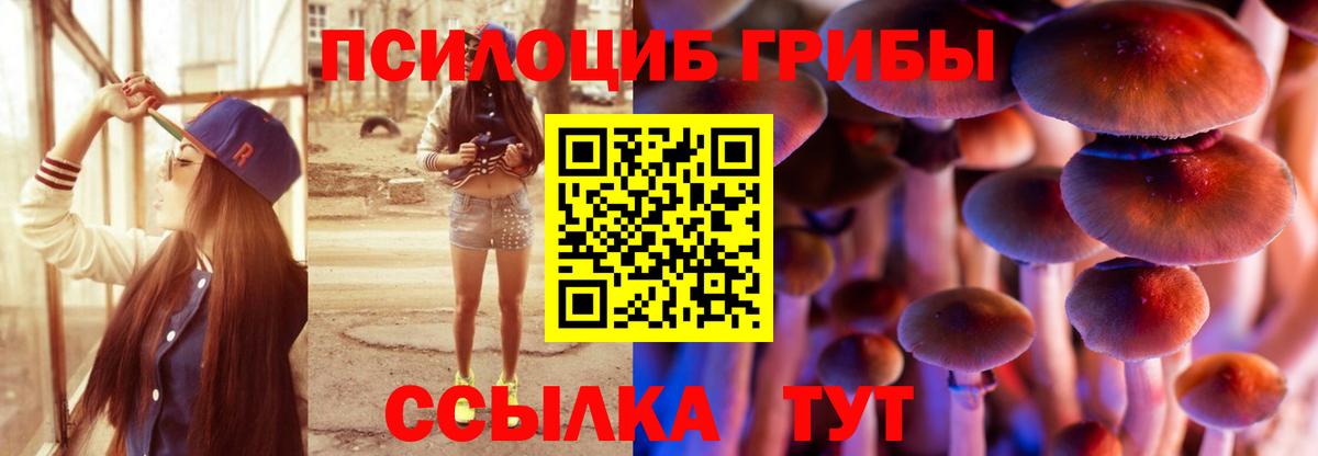 Псилоцибиновые грибы GOLDEN TEACHER  Вход с VPN  Новоалександровск 